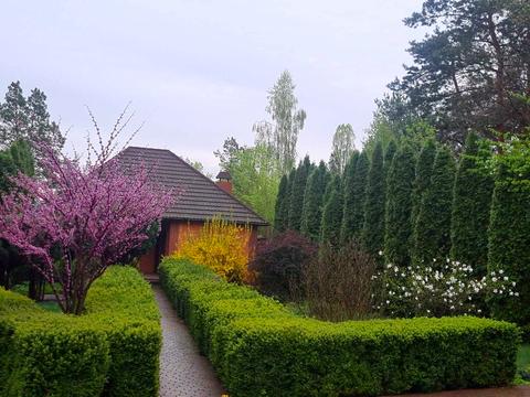 будинок за адресою Мрія вул.