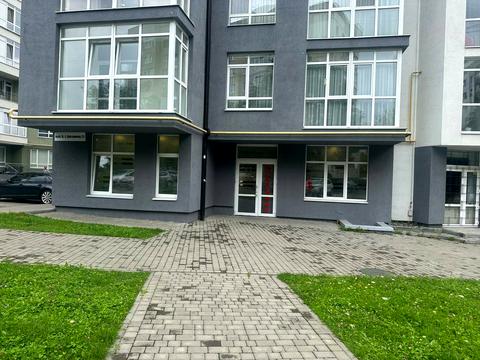 комерційна за адресою Богдана-Ігора Антонича вул., 11