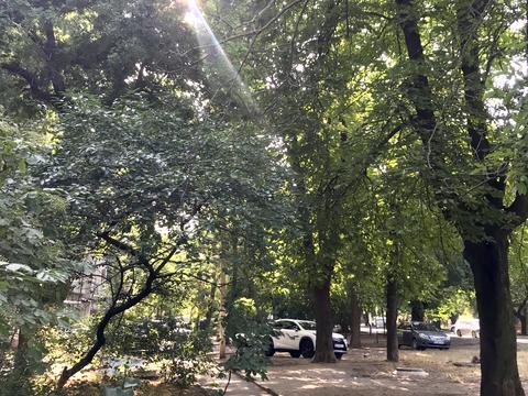 квартира за адресою Балтиморська вул. (Посмітного), 25