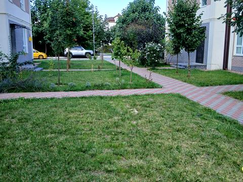 дом по адресу Центральна ул.