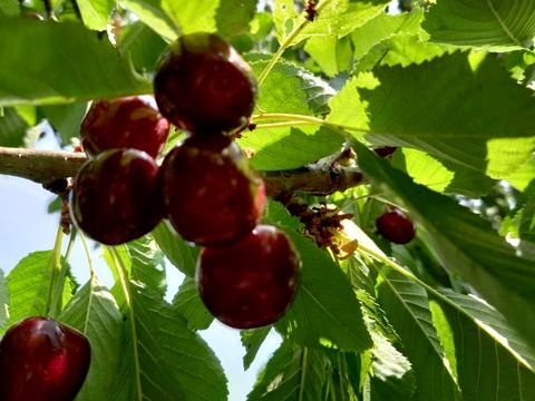 будинок за адресою Аврори, 10