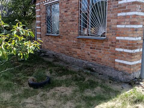 дом по адресу Садова 6 СТ Ромашка