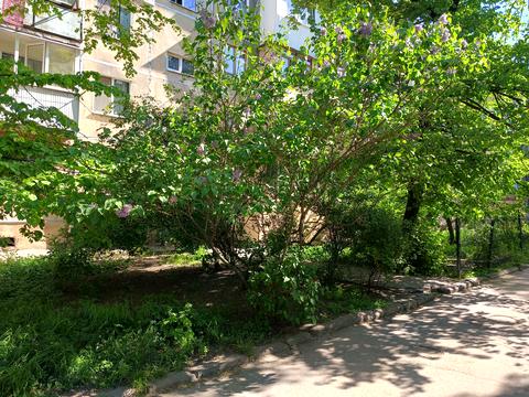 квартира по адресу Генерала Петрова ул., 44