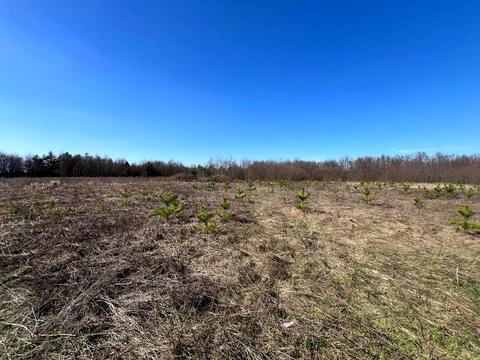 участок по адресу 