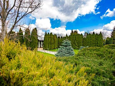 комерційна за адресою Бориспільський, 1