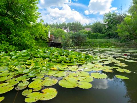 дом по адресу  ул.