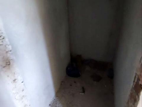 квартира по адресу Владимира Сосюры ул., 6