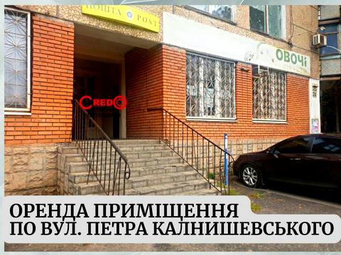 коммерческая по адресу П. Калнишевського, 24