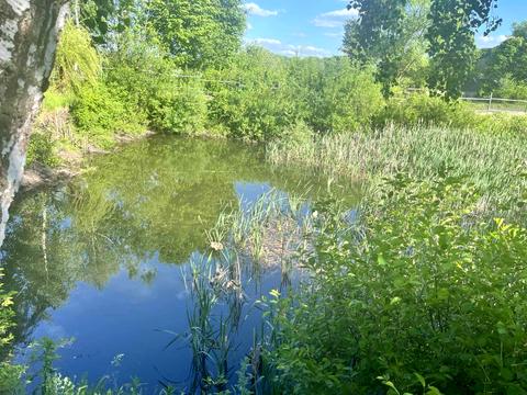 дом по адресу Нове Село ул., 1