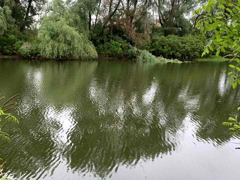 дом по адресу с. Рожны, Южная, 3