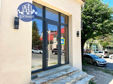 комерційна за адресою Марка Черемшини вул., 2