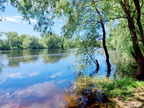 будинок за адресою Центральна, 11
