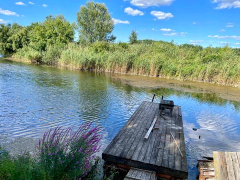 дом по адресу Низова, 2Д