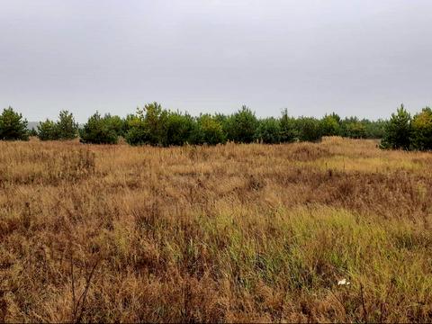 ділянка за адресою с. Старий Міст (Петрівське), 