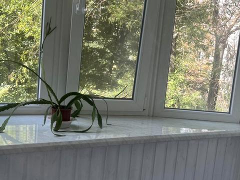 квартира по адресу Воронина ул., 333