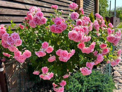 будинок за адресою Анатолія Солов'яненка вул.