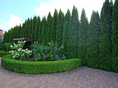 дом по адресу Бакумівка