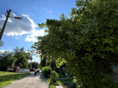 квартира за адресою Привокзальна вул., 14