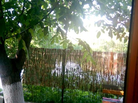 дом по адресу Рибальська