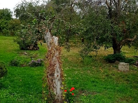 будинок за адресою Скіфська вул.