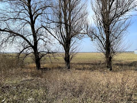 участок по адресу с. Русская поляна, Смілянська