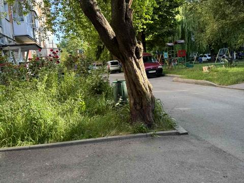 квартира по адресу Казацкая ул., 61/2