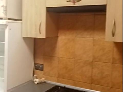 квартира за адресою Героїв Крут вул. (Валентини Терешкової), 52