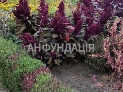 квартира по адресу Познаньская ул., 7