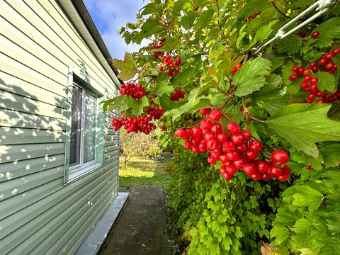 будинок за адресою Кичеївська