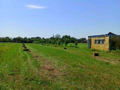 ділянка за адресою Лелекача