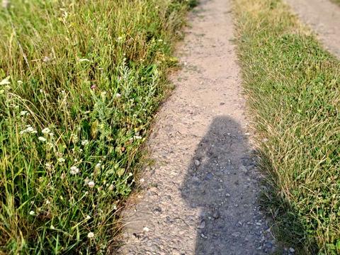 ділянка за адресою проїзд 7 Андрійовський