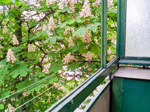 квартира за адресою Льотна вул. (Червоногвардійська), 29