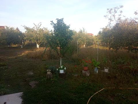 будинок за адресою Преображенська вул., 60