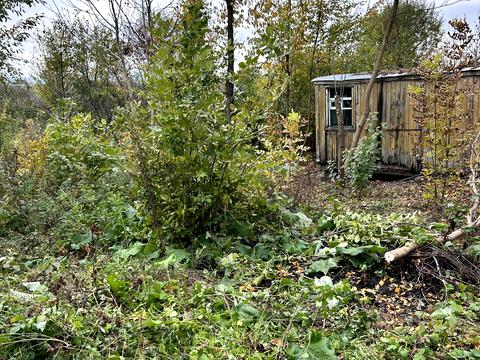 ділянка за адресою 