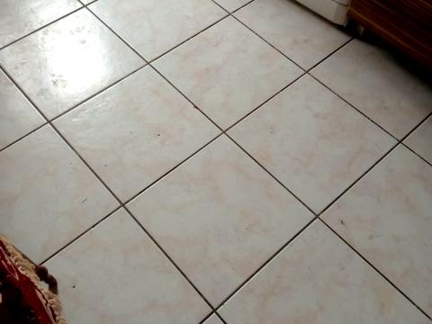 квартира за адресою В'ячеслава Чорновола вул. (Юрія Савченка), 97-Б