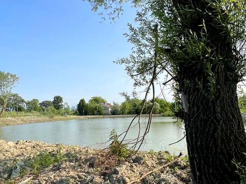 ділянка за адресою миськів