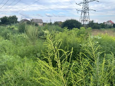 ділянка за адресою Яблунська вул. (Кірова)