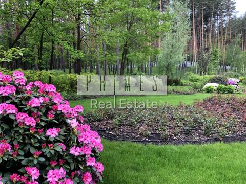 будинок за адресою Дачна