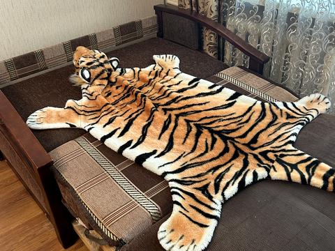 квартира по адресу Профессора Подвысоцкого ул., 12