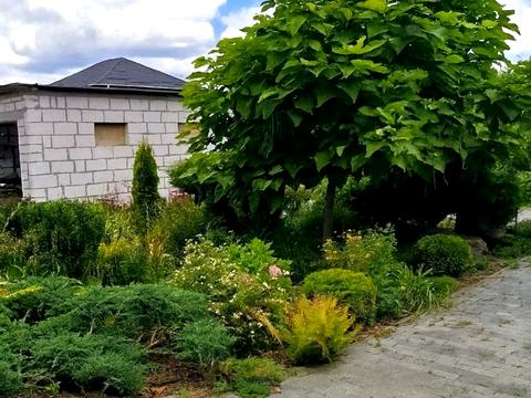 дом по адресу с. Мархалевка, Лесі Українки, 56