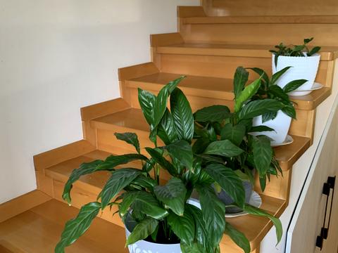 квартира по адресу Франка Ивана ул., 10