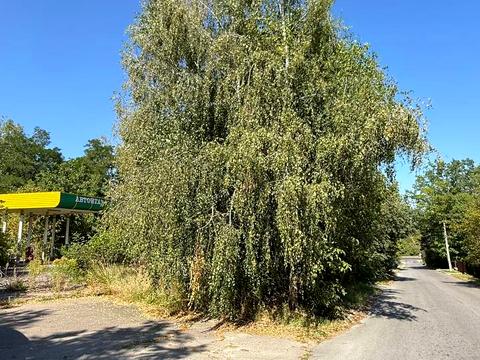 ділянка за адресою Київська вул., 64