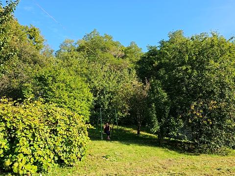 дом по адресу вулиця Євгенія Столбова