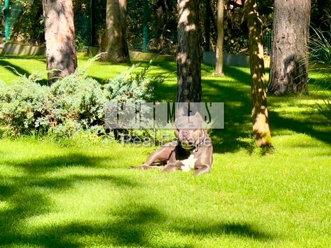 дом по адресу Первомайская ул.