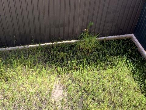 дом по адресу Севериновская ул. (Жовтнева)