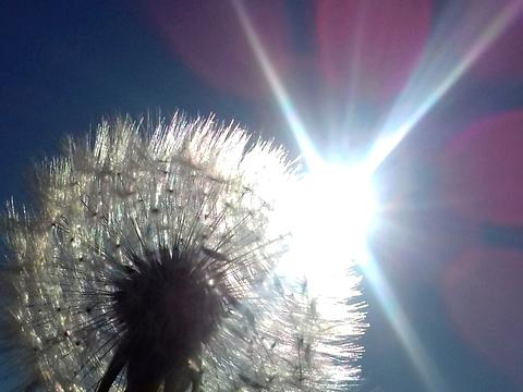 ділянка за адресою Ярослава Мудрого