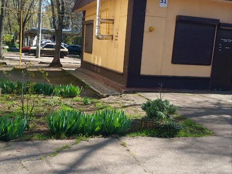 коммерческая по адресу Космонавтов ул., 31