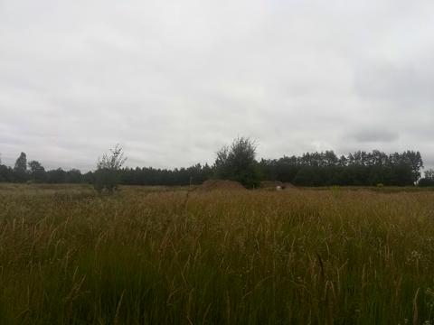 ділянка за адресою Лісова