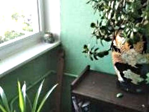 квартира по адресу Академика Королёва ул., 48/1