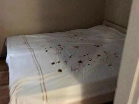 квартира по адресу Александра Кониского ул. (Володарського), 39